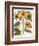 Sunflower-Besler Basilius-Framed Giclee Print