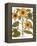 Sunflower-Besler Basilius-Framed Premier Image Canvas