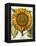 Sunflower-Besler Basilius-Framed Premier Image Canvas