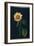 Sunflower-Mary Granville Delany-Framed Giclee Print