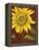 Sunflower-John Zaccheo-Framed Premier Image Canvas