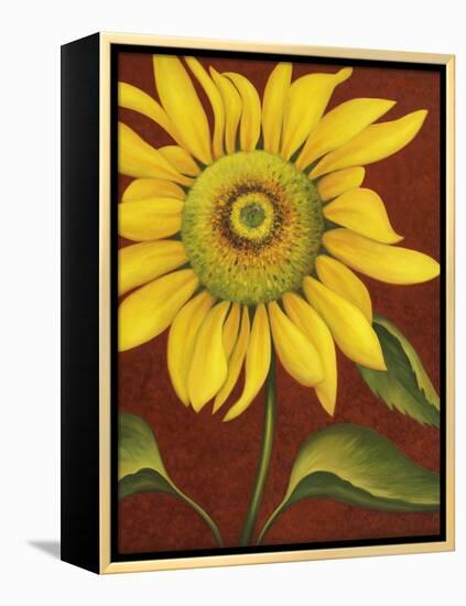 Sunflower-John Zaccheo-Framed Premier Image Canvas