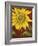 Sunflower-John Zaccheo-Framed Giclee Print