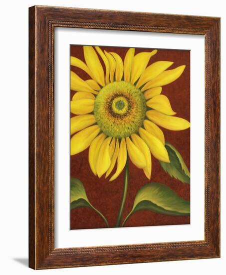 Sunflower-John Zaccheo-Framed Giclee Print