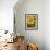Sunflower-John Zaccheo-Framed Giclee Print displayed on a wall