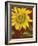 Sunflower-John Zaccheo-Framed Giclee Print