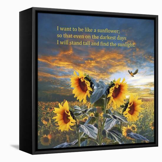 Sunflower-Ata Alishahi-Framed Premier Image Canvas