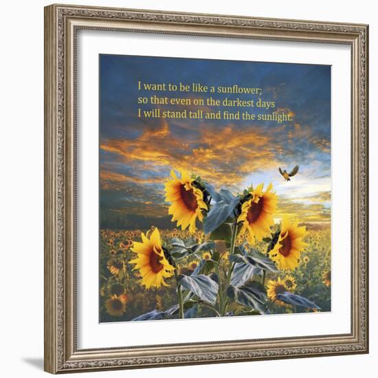 Sunflower-Ata Alishahi-Framed Giclee Print