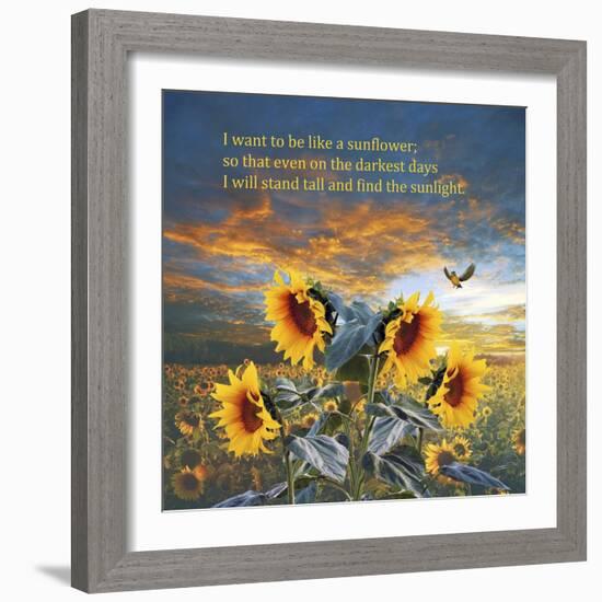 Sunflower-Ata Alishahi-Framed Giclee Print