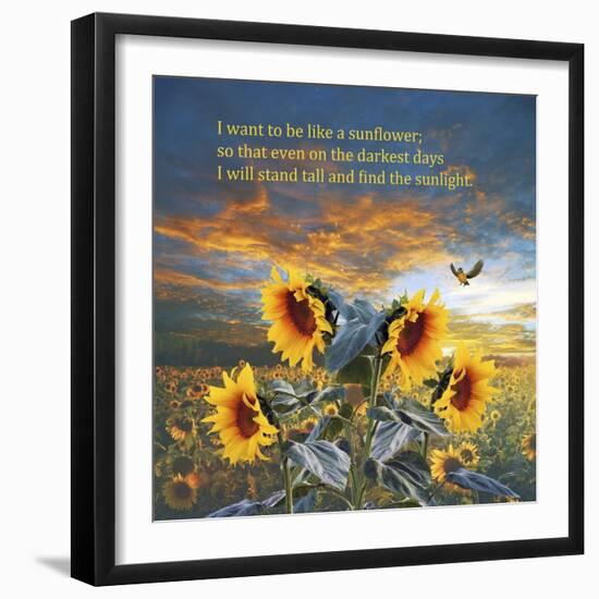 Sunflower-Ata Alishahi-Framed Giclee Print