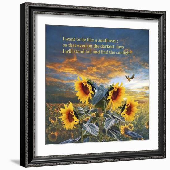 Sunflower-Ata Alishahi-Framed Giclee Print