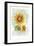 Sunflower-Maria Trad-Framed Giclee Print