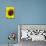 Sunflower-Heidi Bannon-Photo displayed on a wall