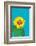 Sunflower-Gigi Rosado-Framed Photographic Print