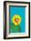 Sunflower-Gigi Rosado-Framed Photographic Print