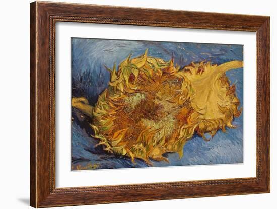 Sunflowers, 1887-Vincent van Gogh-Framed Giclee Print