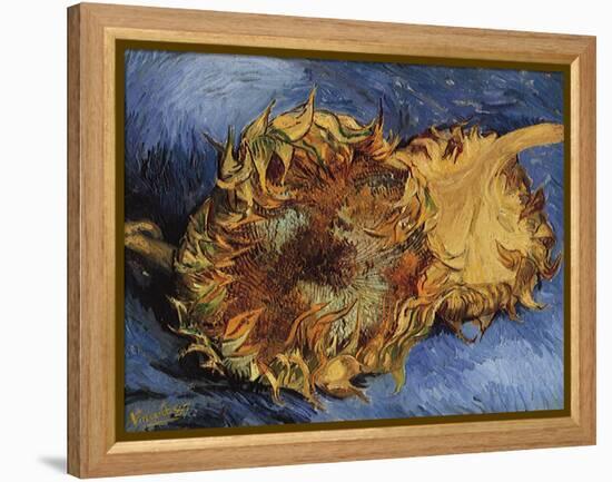 Sunflowers, 1887-Vincent van Gogh-Framed Premier Image Canvas
