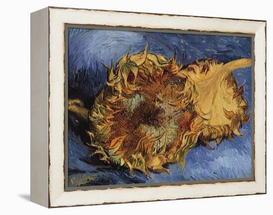 Sunflowers, 1887-Vincent van Gogh-Framed Premier Image Canvas