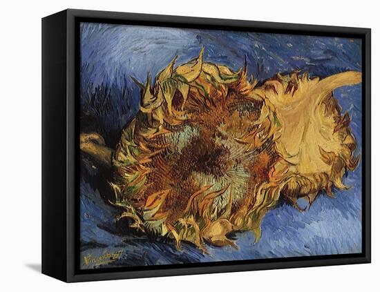 Sunflowers, 1887-Vincent van Gogh-Framed Premier Image Canvas