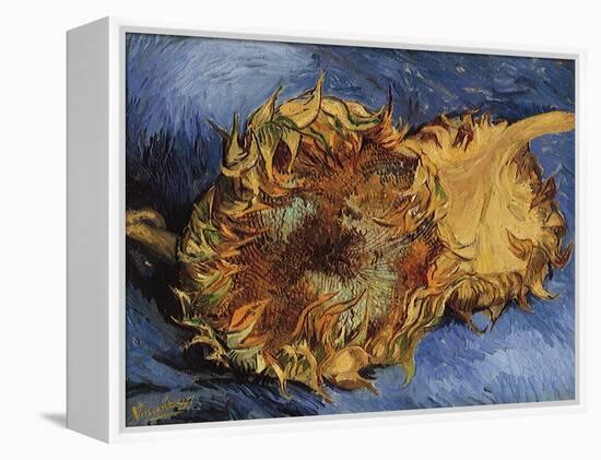 Sunflowers, 1887-Vincent van Gogh-Framed Premier Image Canvas