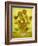 Sunflowers, 1889-Vincent van Gogh-Framed Giclee Print