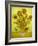 Sunflowers, 1889-Vincent van Gogh-Framed Giclee Print