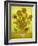 Sunflowers, 1889-Vincent van Gogh-Framed Giclee Print