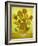 Sunflowers, 1889-Vincent van Gogh-Framed Giclee Print