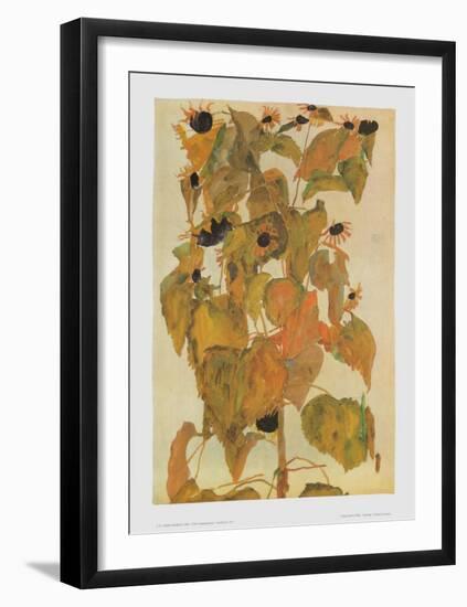 Sunflowers, 1911-Egon Schiele-Framed Art Print