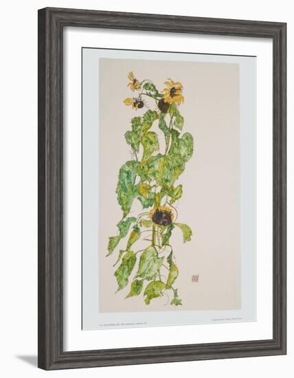 Sunflowers, 1917-Egon Schiele-Framed Art Print