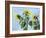 Sunflowers, 1996-Cristiana Angelini-Framed Giclee Print