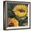 Sunflowers, 2016-Margo Starkey-Framed Giclee Print