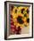 Sunflowers and Apples, the Hamptons, Long Island, New York State, USA-Robert Harding-Framed Photographic Print