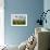 Sunflowers and clouds in the rural landscape of Senigallia, Province of Ancona, Marche, Italy-Roberto Moiola-Framed Photographic Print displayed on a wall