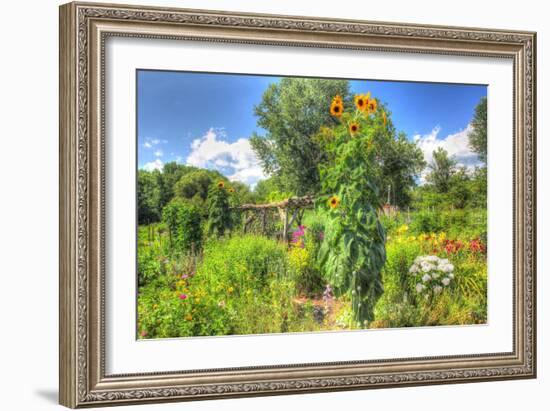 Sunflowers and Garden-Robert Goldwitz-Framed Giclee Print