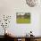 Sunflowers and Old Barn, near Oamaru, North Otago, South Island, New Zealand-David Wall-Photographic Print displayed on a wall