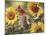 Sunflowers and Songbirds-William Vanderdasson-Mounted Giclee Print