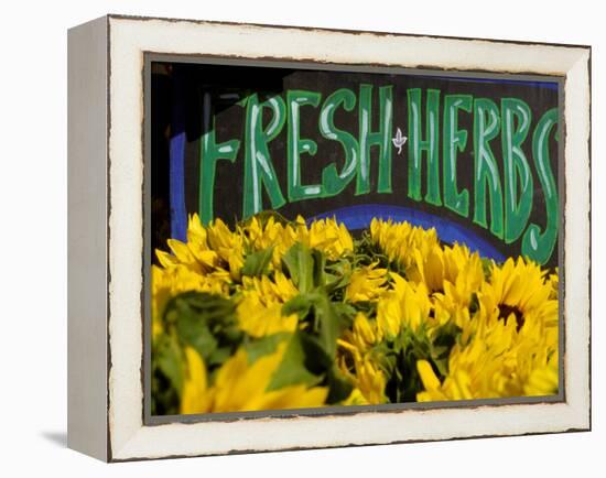 Sunflowers at Ferry Building Farmer's Market, San Francisco, California, USA-Inger Hogstrom-Framed Premier Image Canvas