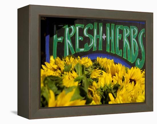 Sunflowers at Ferry Building Farmer's Market, San Francisco, California, USA-Inger Hogstrom-Framed Premier Image Canvas