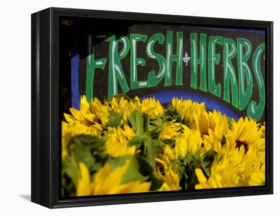 Sunflowers at Ferry Building Farmer's Market, San Francisco, California, USA-Inger Hogstrom-Framed Premier Image Canvas