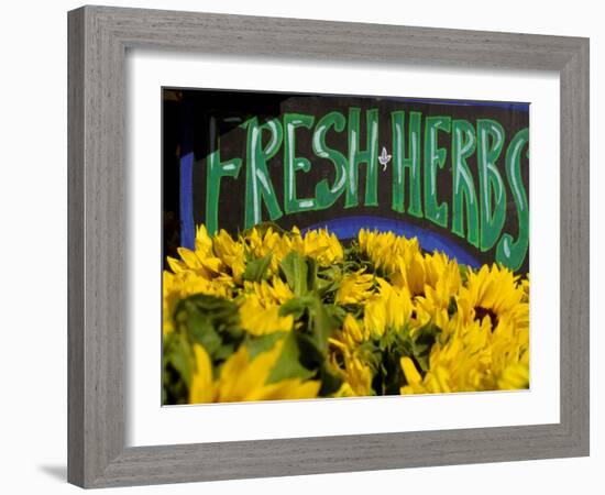 Sunflowers at Ferry Building Farmer's Market, San Francisco, California, USA-Inger Hogstrom-Framed Photographic Print