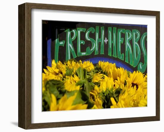 Sunflowers at Ferry Building Farmer's Market, San Francisco, California, USA-Inger Hogstrom-Framed Photographic Print