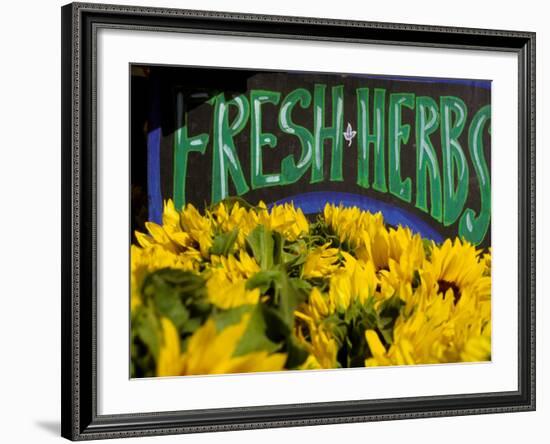 Sunflowers at Ferry Building Farmer's Market, San Francisco, California, USA-Inger Hogstrom-Framed Photographic Print