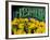 Sunflowers at Ferry Building Farmer's Market, San Francisco, California, USA-Inger Hogstrom-Framed Photographic Print