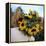 Sunflowers Being Carried by Grower, Washington State, USA-Aaron McCoy-Framed Premier Image Canvas