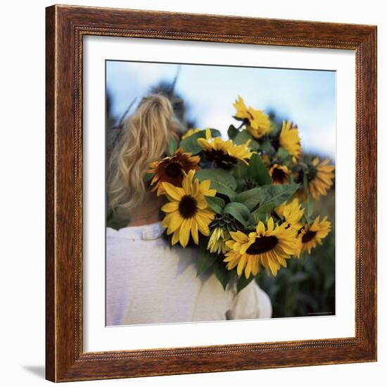 Sunflowers Being Carried by Grower, Washington State, USA-Aaron McCoy-Framed Photographic Print