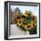 Sunflowers Being Carried by Grower, Washington State, USA-Aaron McCoy-Framed Photographic Print