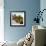 Sunflowers Being Carried by Grower, Washington State, USA-Aaron McCoy-Framed Photographic Print displayed on a wall