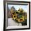 Sunflowers Being Carried by Grower, Washington State, USA-Aaron McCoy-Framed Photographic Print