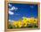 Sunflowers, Colorado, USA-Terry Eggers-Framed Premier Image Canvas